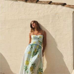 Zara Floral Lemon Print Dress